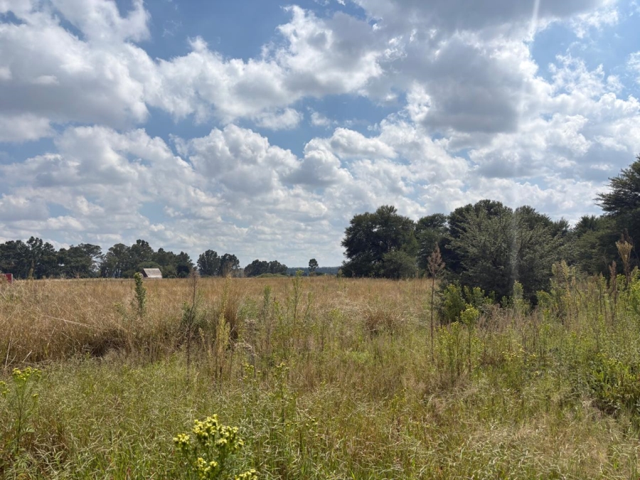 0 Bedroom Property for Sale in Vaalpark Free State